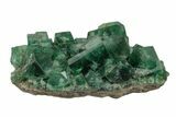 Fluorescent Green Fluorite Cluster - Rogerley Mine, England #173992-3